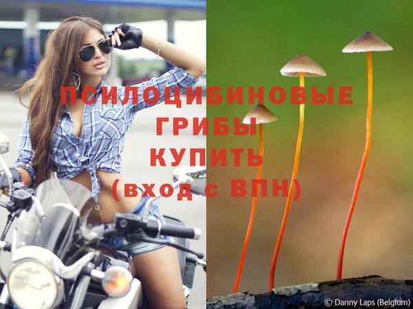 бутират Краснослободск