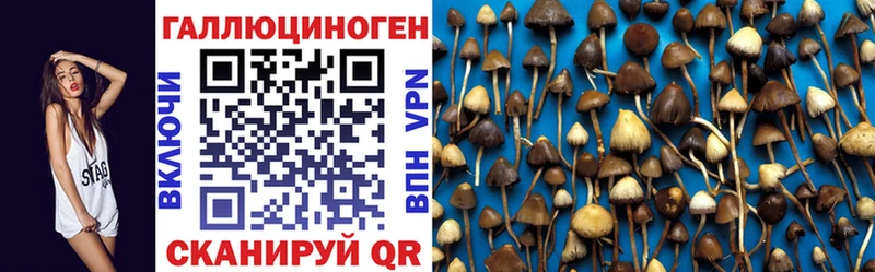 Купить где  Троицк  Псилоцибиновые грибы MAGIC MUSHROOMS 